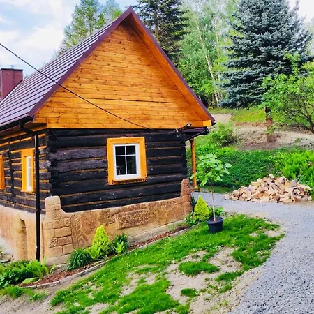 Jedrusiowka